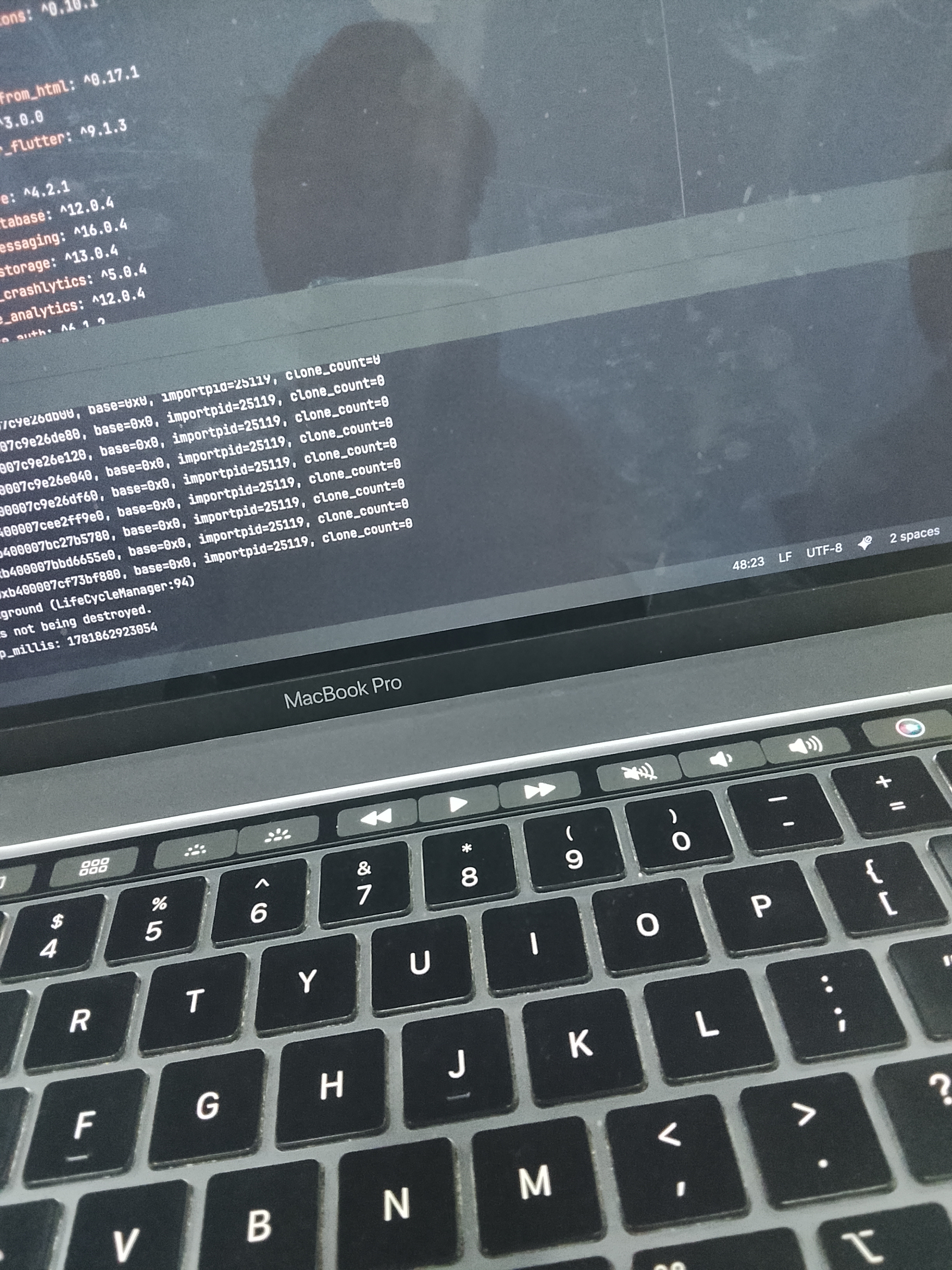 Developer